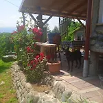 펜션 Spacious And Charming House In With Large Garden *