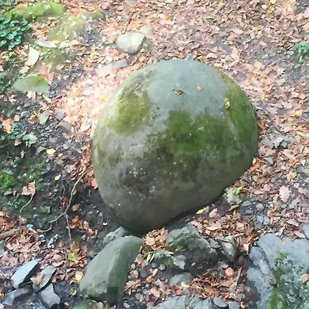 Spacious And Charming House In With Large Garden Vozuca