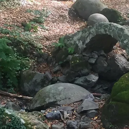 Spacious And Charming House In With Large Garden Дом отдыха Vozuca