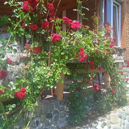Spacious And Charming House In With Large Garden 펜션