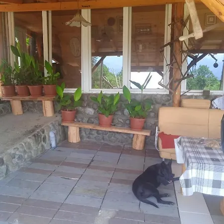 Spacious And Charming House In With Large Garden Holiday home
