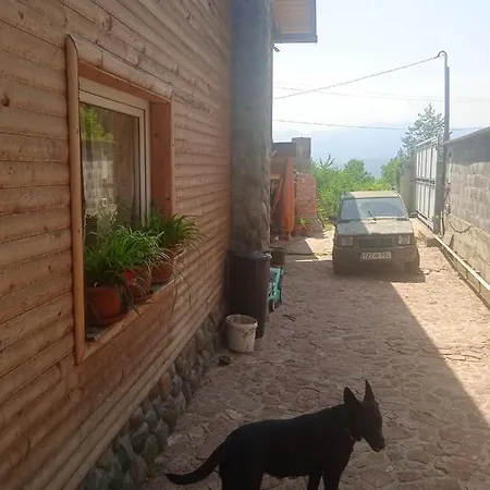 Spacious And Charming House In With Large Garden Vozuca