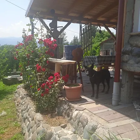 Spacious And Charming House In With Large Garden Vozuca