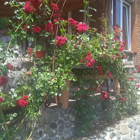 Spacious And Charming House In With Large Garden * Vozuca